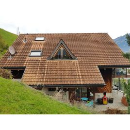 Foto unsaniertes Dach